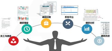 中智管理咨詢 以市場調(diào)查服務(wù)驅(qū)動(dòng)商業(yè)決策與創(chuàng)新